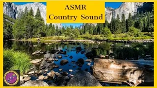 ASMR Calm Country Morning🌄Nature Ambience with Bird🦜and Cattle🐄Sounds |COME, SEE, CONQUER