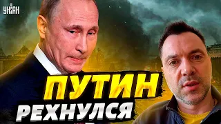 Кремлевский олух унюхал свой конец и свихнулся на трах-тибидохах – объяснение Арестовича