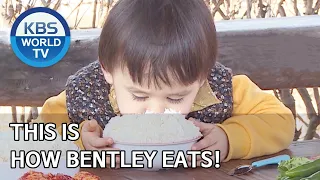 This is how Bentley eats! [The Return of Superman/2020.04.26]