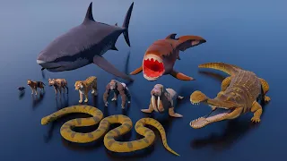 Most Powerful Jaws: 3D Comparison of the Top 50 Animal Bite Forces