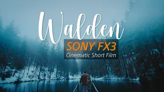 WALDEN - Official Sony FX3 Cinematic Short Film