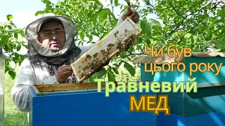 Травневий мед 2024! Чи є що качати?