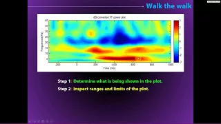 How to inspect time-frequency results