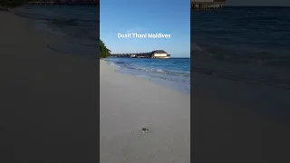 Dusit Thani Maldives #travel #maldivesisland #maldivesresort #maldivesparadise #hotel #maldives