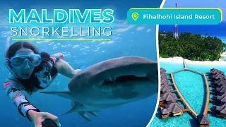 FIHALHOHI ISLAND RESORT, MALDIVES JUNE 2022, SNORKELLING| В одиночку на Мальдивы,снорклинг с акулами