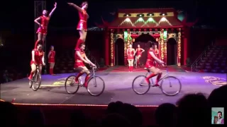 Awesome circus::girl gymnasts on bicycles