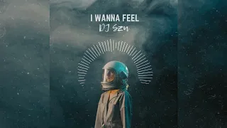 DJ Szu - I Wanna Feel