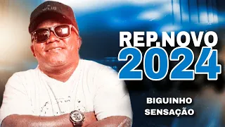 REPERTÓRIO NOVO  2024 BIGUINHO SENSAÇÃO AS MELHORES DE 2024