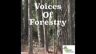 Voices of Forestry Ep. 24 - AFA's Work in 2021