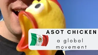 GLOBAL CHICKEN MOVEMENT! (Dreamfields, Mexico, My Story #078)