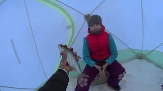 Зимняя рыбалка на мормышку. Часть 1. Отличный улов. Winter fishing. ice fishing