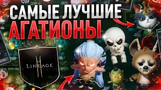 [Lineage2M] Все о агатионах. Гайд обзор.