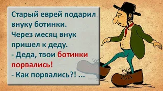 ✡️ Эти слова не выходят из мой рот! Анекдоты про евреев! Еврейские Анекдоты! Выпуск #28