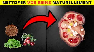 10 Meilleurs Aliments Pour Nettoyer et Réparer Vos Reins !