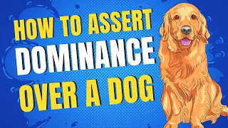 5 Easy Ways To Show & Assert Dominance Over a Dog - Be Alpha Leader of Your Dog