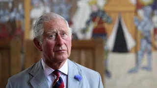 Royal Family 'devastated' following Prince Harry’s historic testimony