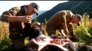 How to Skin and Butcher a Black Bear with Steven Rinella - MeatEater