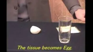 Фокус. Cалфетка превращается в яйцо.