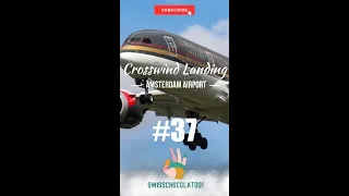 Royal Jordanian Flight Airbus A321[crosswind landing #37] at  Amsterdam airport #shorts