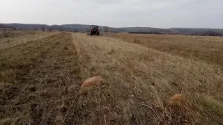 Расчищаем Заброшенный Луг под Будущий Сенокос