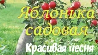 Яблонька садовая - Песня огонь 🔥Исполняет Илья Соловьёв 🎶