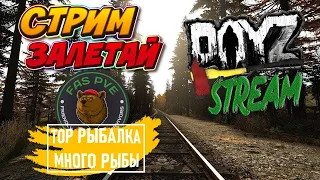 DayZ [RU] FAS PVE ТОП ЗАРАБОТОК #dayzgameplay   #dayz #дейзи #mod #атмосфера