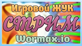 ЖУК в Вормакс ио | Wormax.io with Sasha