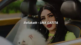 una gatita que le gusta el mambo 🔥|| LETRA - UNA GATITA - Bellakath