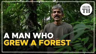 This man from Kerala grew a mini-forest on his land