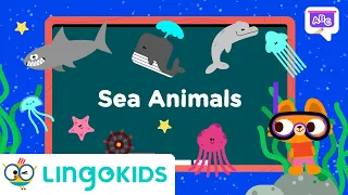 SEA ANIMALS FOR KIDS 🐙🐚 Learn about SEA ANIMALS VOCABULARY | Lingokids