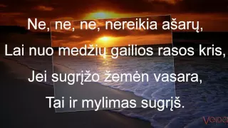 Rytis Cicinas - Ne, nereikia ašarų (Lyrics) Veida