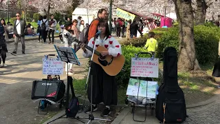 川端渚「Flavor of life（宇多田ヒカル)」2019.4.6 大阪造幣局前