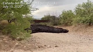 VIDEO: Bighorn Fire debris floods Canada del Oro Wash