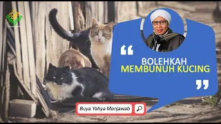 Bolehkah Membunuh Kucing? | Buya Yahya Menjawab