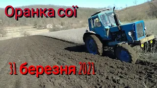 Оранка сої