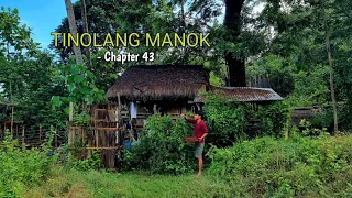 A bitter taste of native chicken TINOLANG MANOK | Life in the mountain [Chapter 43]