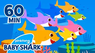 Baby Shark Doo Doo Doo 1 hour | +Compilation | More and More | Baby Shark Official