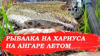 Рыбалка на хариуса на Ангаре летом. В конце видео полезный лайфхак. Неплохой клёв хариуса.