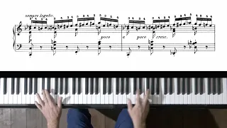 Chopin Etude Op.10 No.2  Bars 20 & 22 in Slow Motion