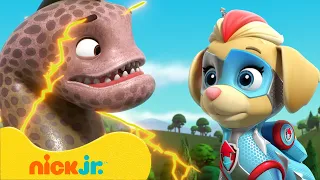 PAW Patrol | ¡Los Mighty Pups contra animales gigantes! | Nick Jr. en Español