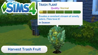 How To Get A Trash Plant/Fruit (Tutorial) - The Sims 4