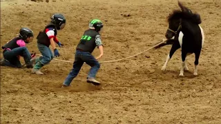 Wild Pony Races - Fort Dodge, IA