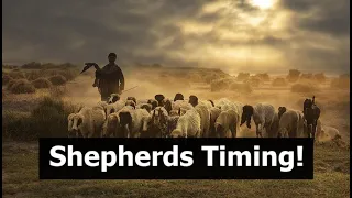 Shepherds Timing!