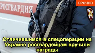 Отличившимся в спецоперации на Украине росгвардейцам вручили награды