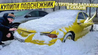 Ужасающая Находка: Брошенная Тачка с Трупным запахом внутри!