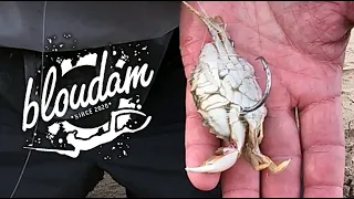 WHITE STEENBRAS FISHING WITH SAND CRAB