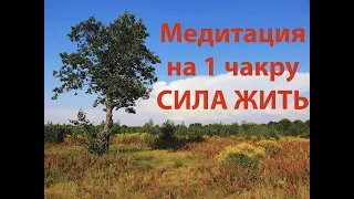 Медитация на 1 чакру Сила жить