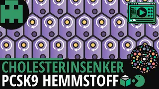 Cholesterinsenker PCSK9 Hemmer│Biologie Lernvideo [Learning Level Up]