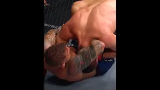 UFC: Хабиб / Порье