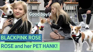 ROSE adopted ABANDONED DOG, Hank! Now, Hank has 1.2 million followers! Amazing! #Blackpink